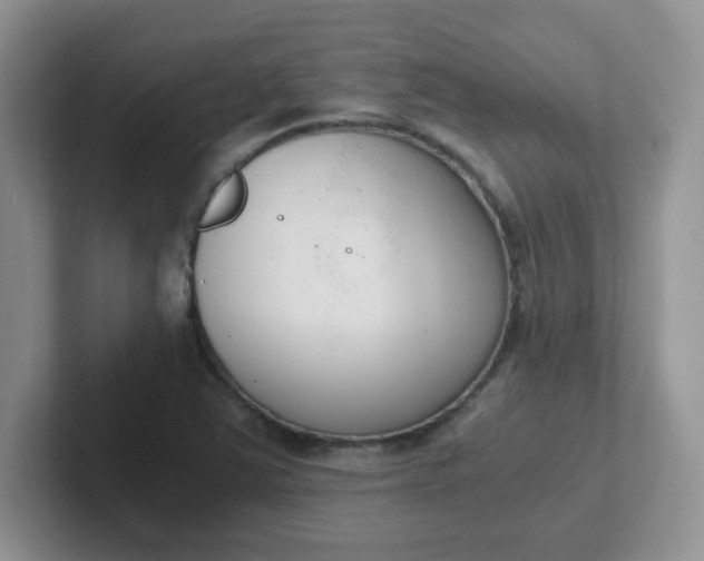 X0000102301363200808081536