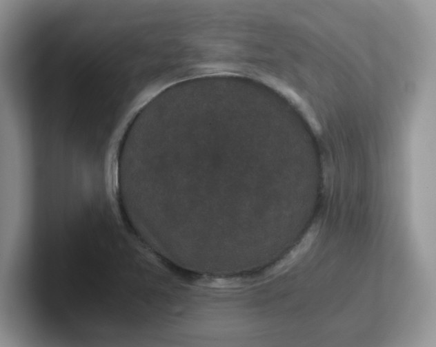 X0000102301365200808081536