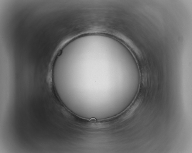 X0000102301366200808081536