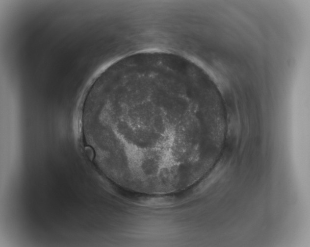 X0000102301367200808081536