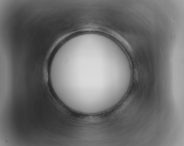 X0000102301368200808081536