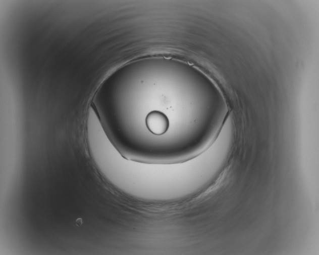 X0000102301369200808081536