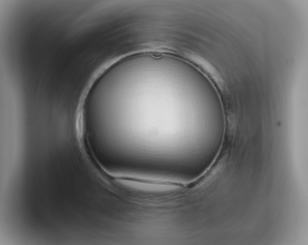 X0000102301371200808081535