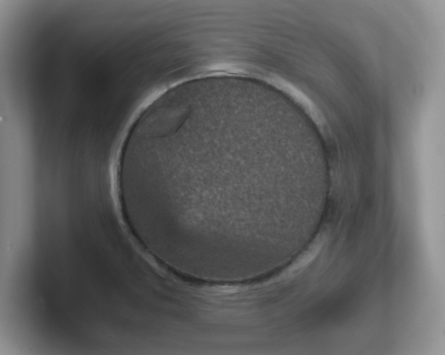 X0000102301373200808081535