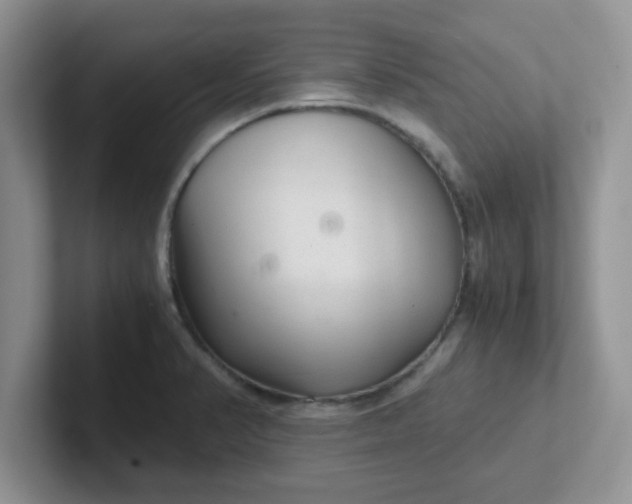 X0000102301374200808081535