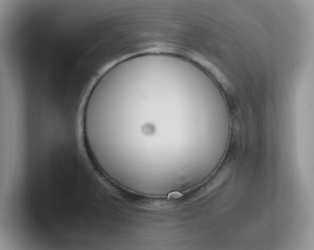 X0000102301375200808081535