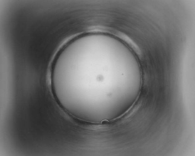 X0000102301376200808081535