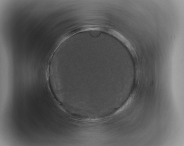 X0000102301377200808081535