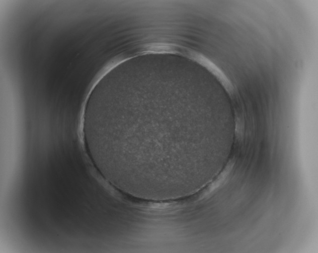 X0000102301378200808081535