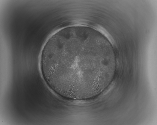 X0000102301379200808081535