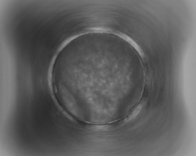 X0000102301381200808081535