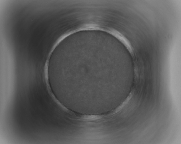 X0000102301382200808081535