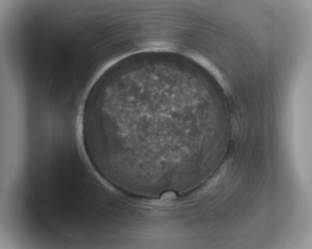 X0000102301383200808081535