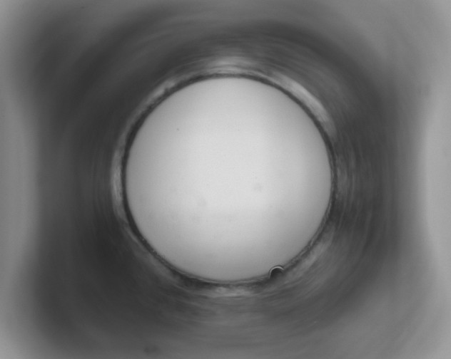 X0000102301384200808081535