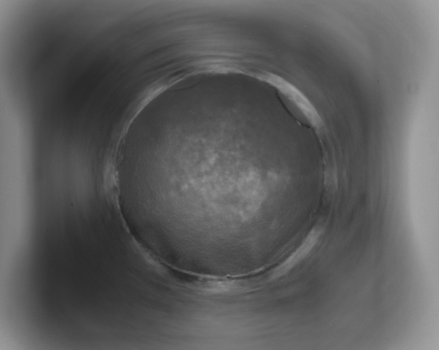 X0000102301385200808081535