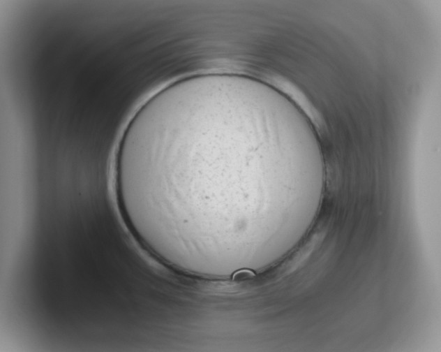 X0000102301387200808081535