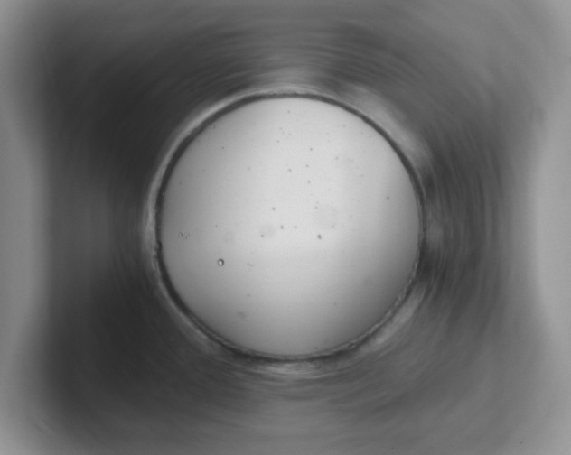 X0000102301388200808081535