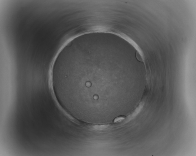 X0000102301389200808081535