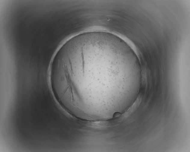 X0000102301390200808081535