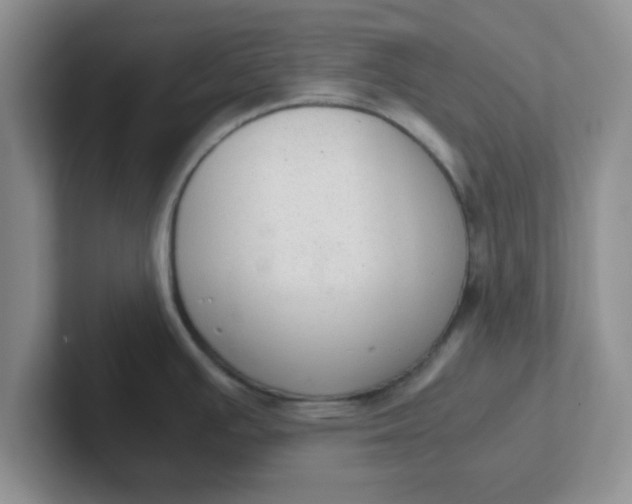 X0000102301391200808081535