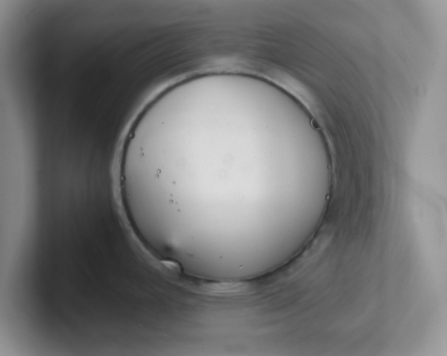 X0000102301392200808081535