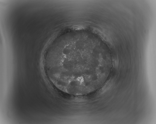 X0000102301393200808081534