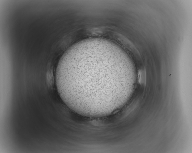 X0000102301395200808081534