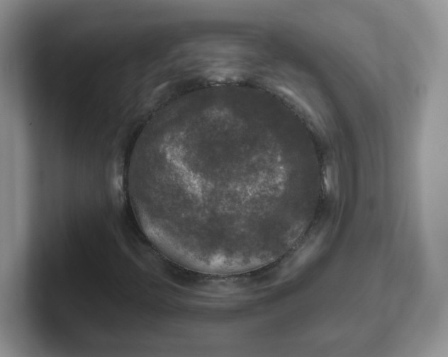 X0000102301396200808081534