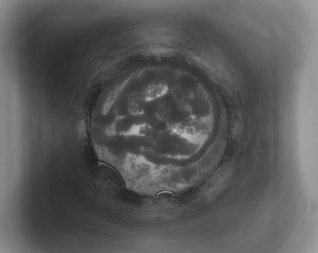 X0000102301397200808081534