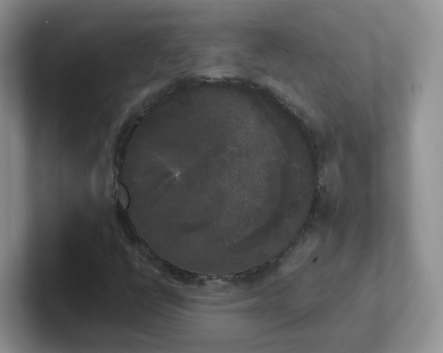 X0000102301398200808081534