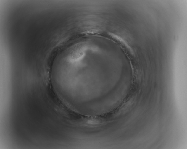 X0000102301399200808081534