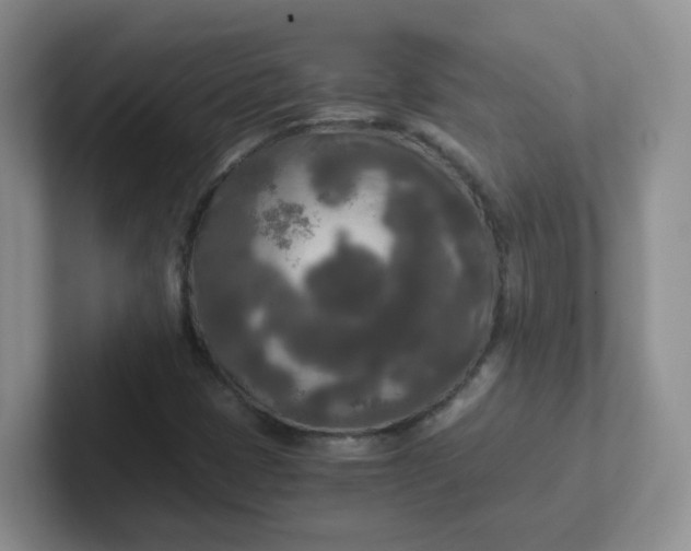 X0000102301401200808081535