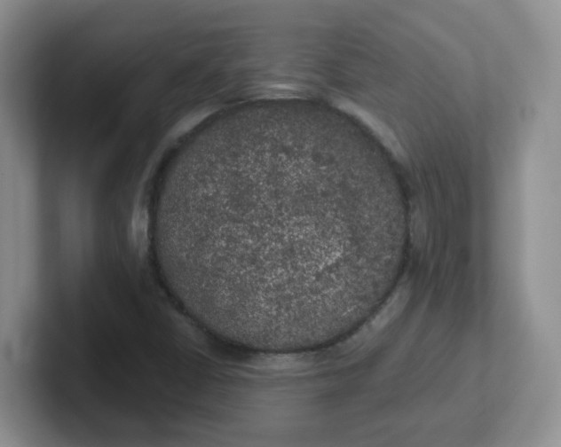 X0000102301402200808081535