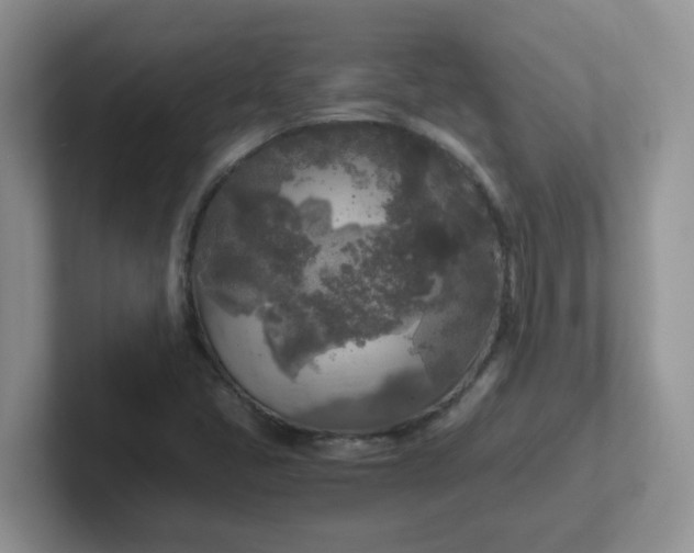 X0000102301405200808081535