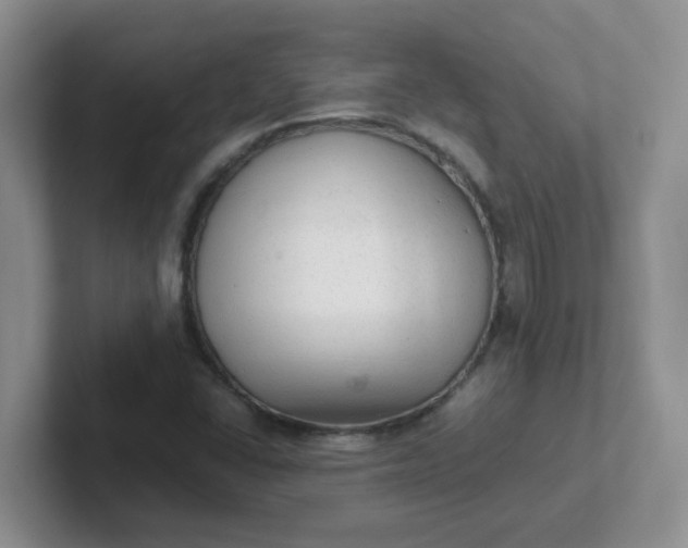 X0000102301406200808081535