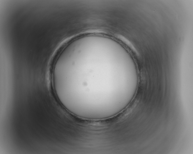 X0000102301408200808081535