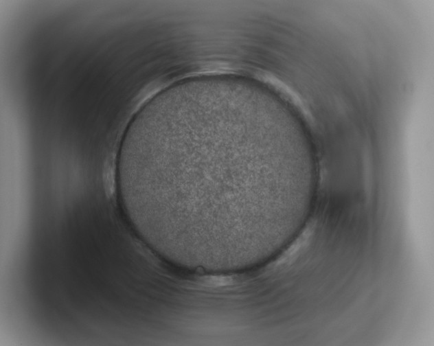 X0000102301409200808081535