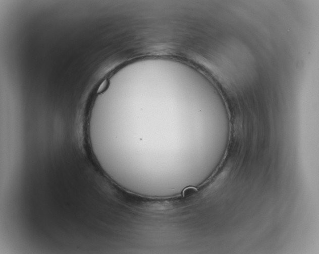 X0000102301410200808081535