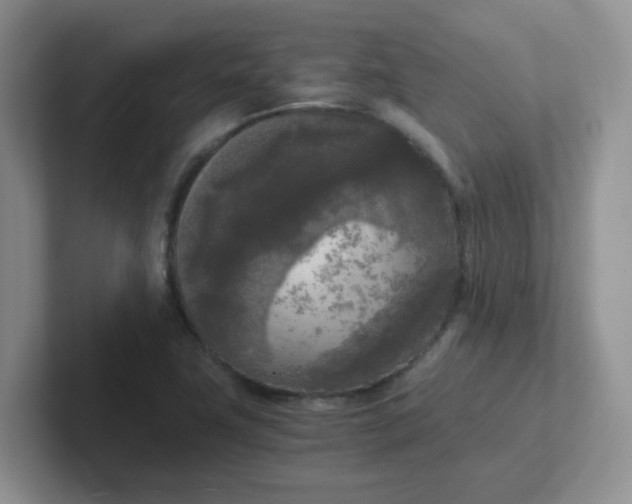 X0000102301411200808081535