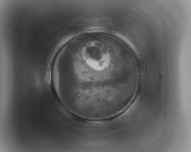 X0000102301413200808081535