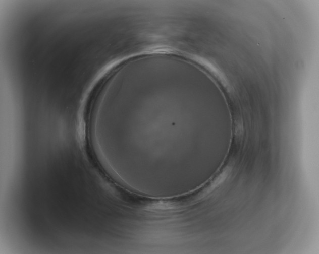 X0000102301414200808081535