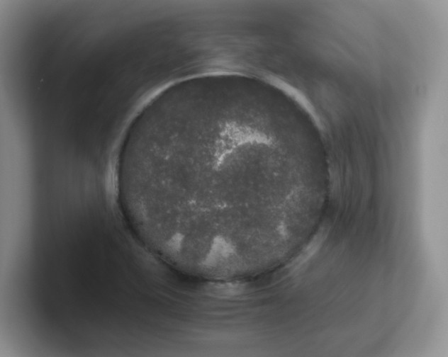 X0000102301415200808081535