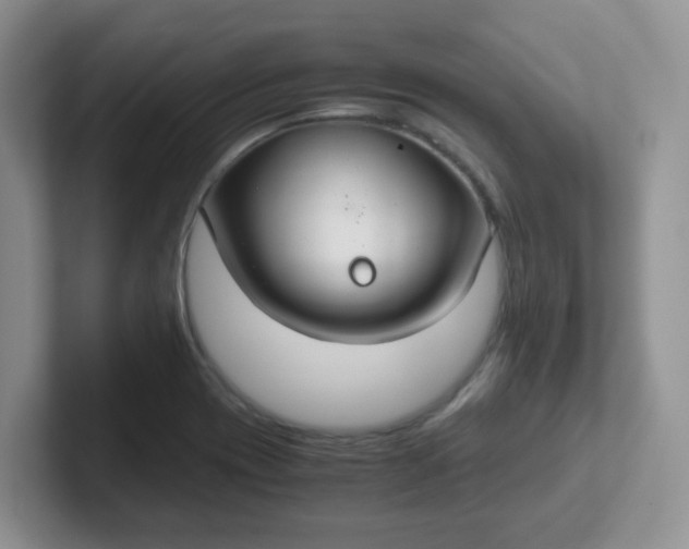 X0000102301417200808081535