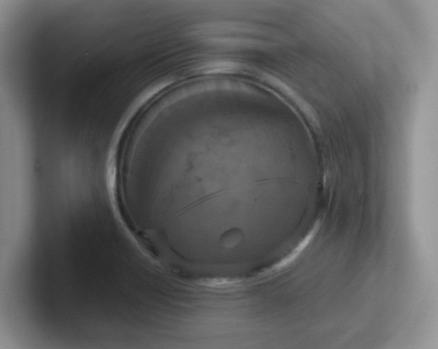 X0000102301418200808081535