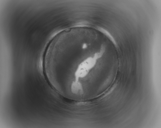 X0000102301419200808081535