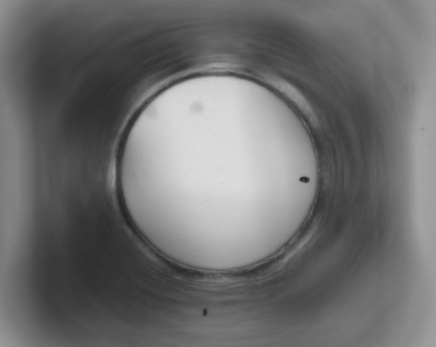 X0000102301420200808081535