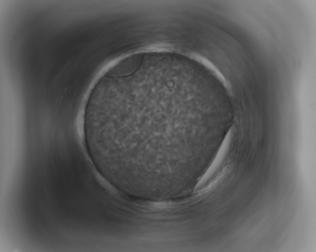 X0000102301421200808081535