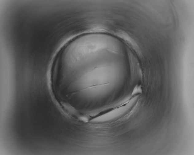 X0000102301422200808081535