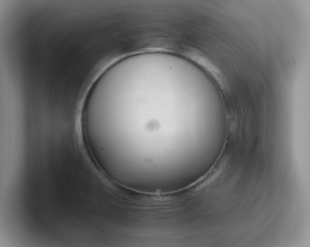 X0000102301423200808081535