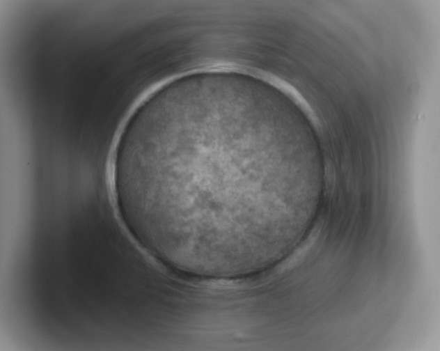 X0000102301424200808081535